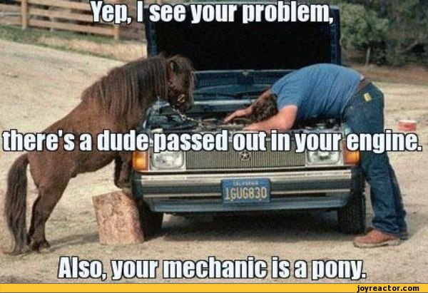 funny-pictures-auto-mechanic-pony-475179.jpg