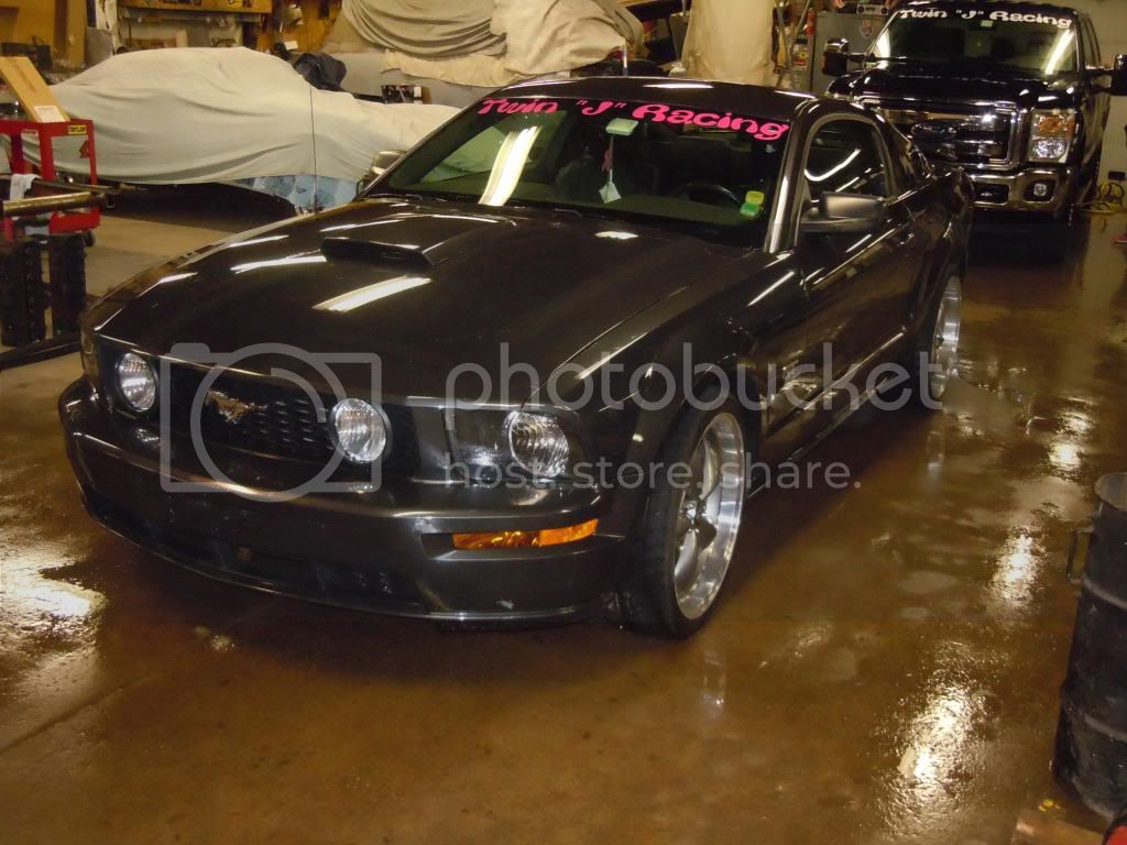 Mustang001.jpg