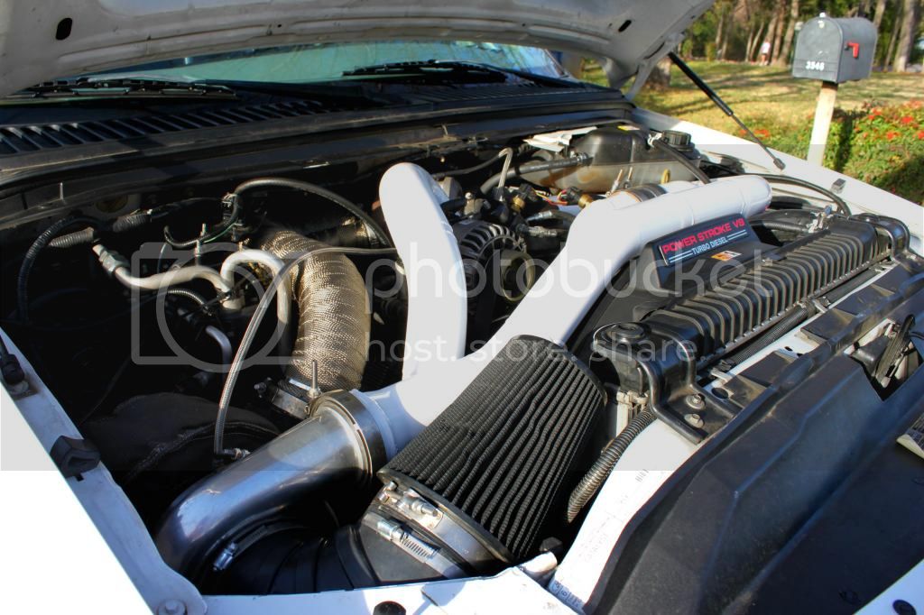 Shorty3_zps493e91f1.jpg