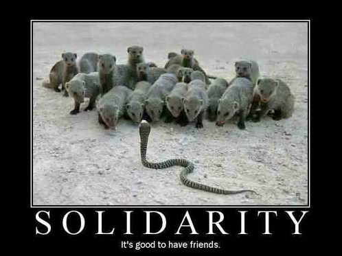 solidarity.jpg
