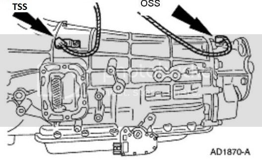 TSS-OSS.jpg